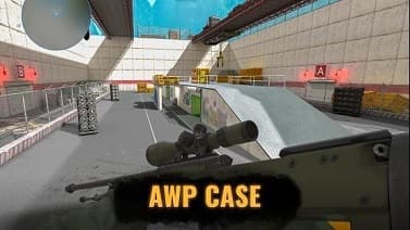 AWP Case